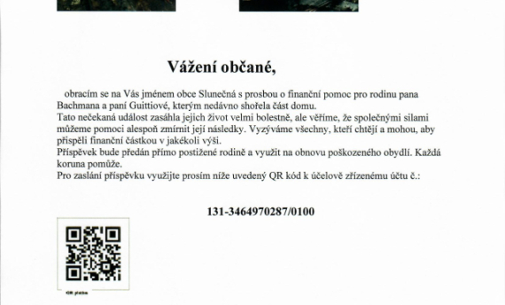 Prosba o finanční pomoc Prosba o finanční pomoc